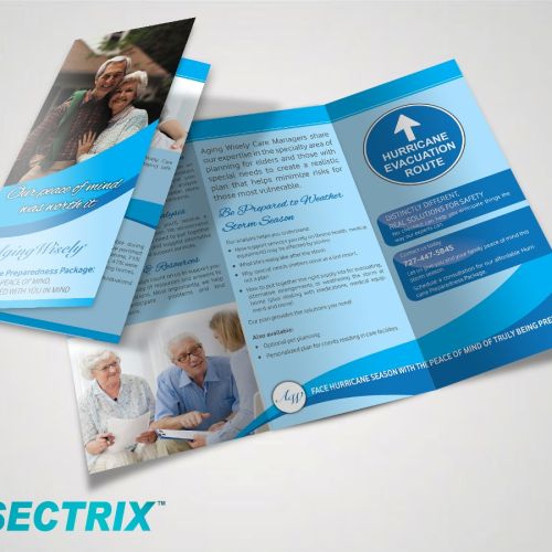 Aging Wisely Brochure