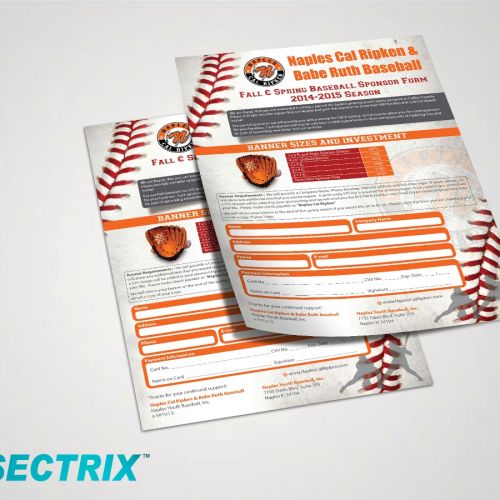 Naples Cal Ripken Flyer